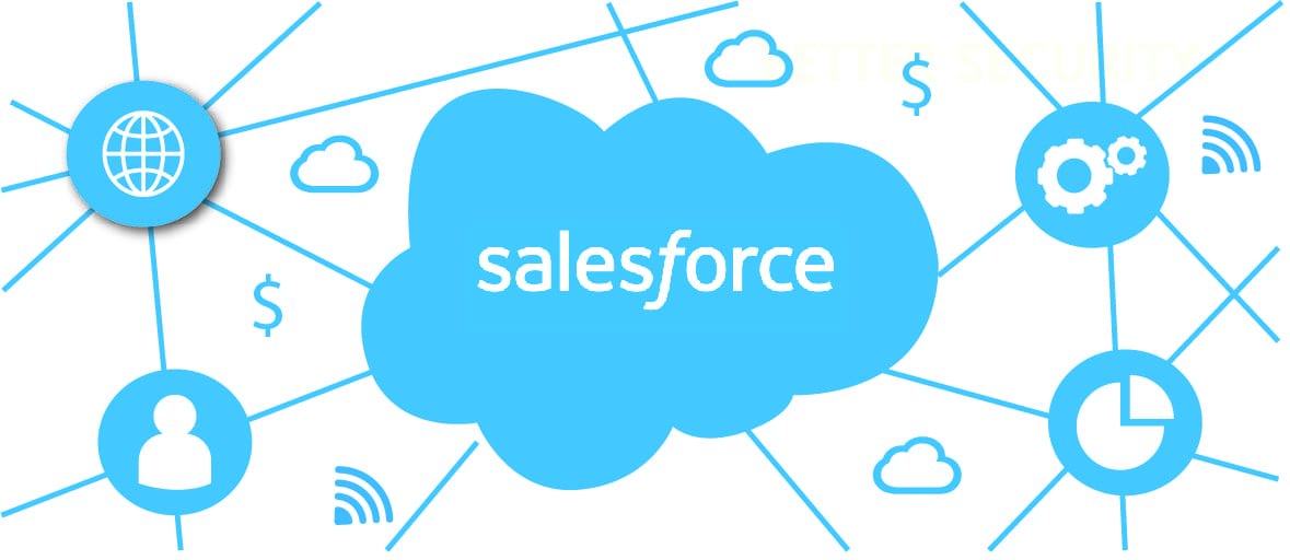 Growing Business with Salesforce Development