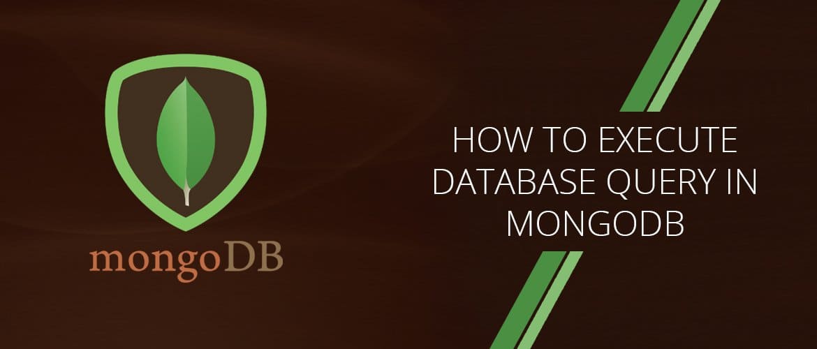 How to Execute Database Query in MongoDB