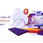 Brief Overview of Custom Software Development